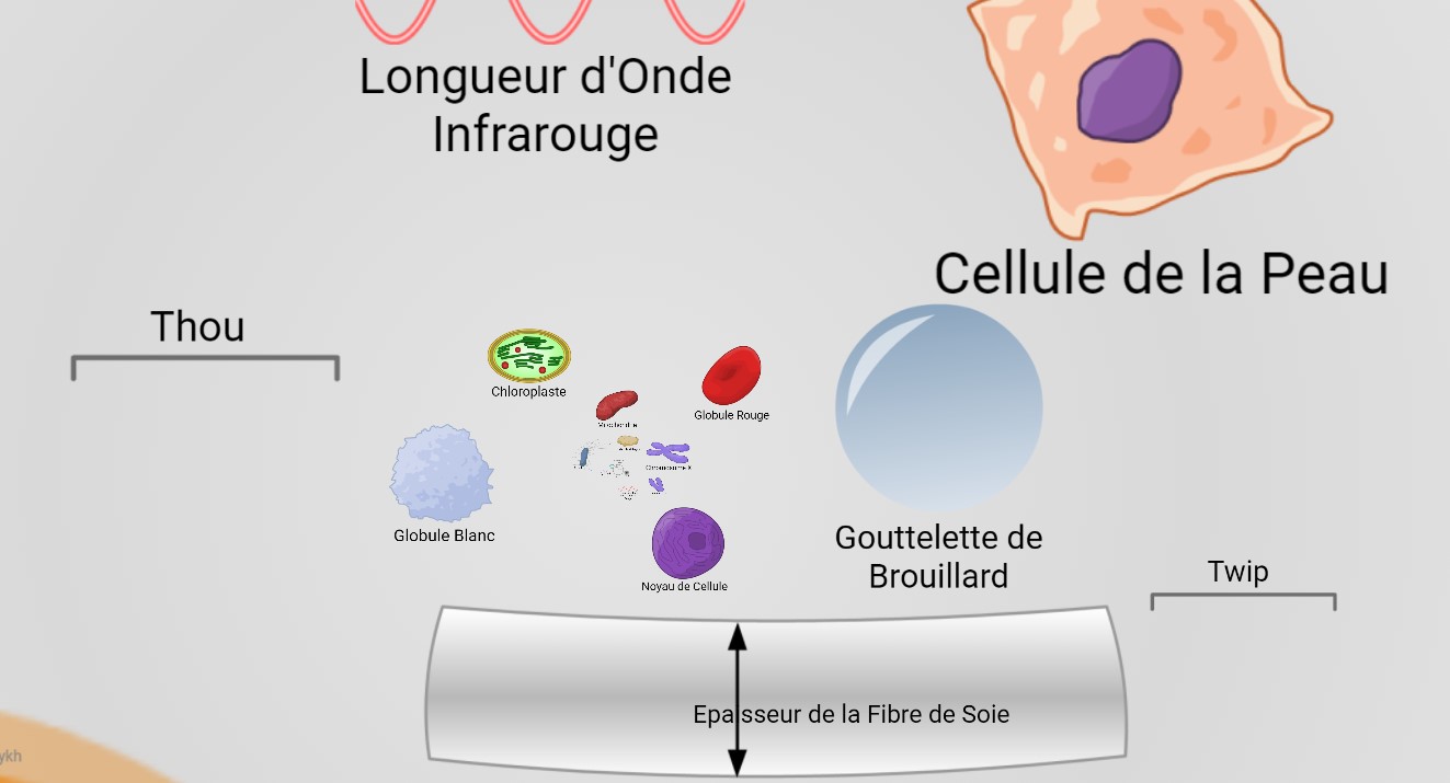 Echunivers2 1