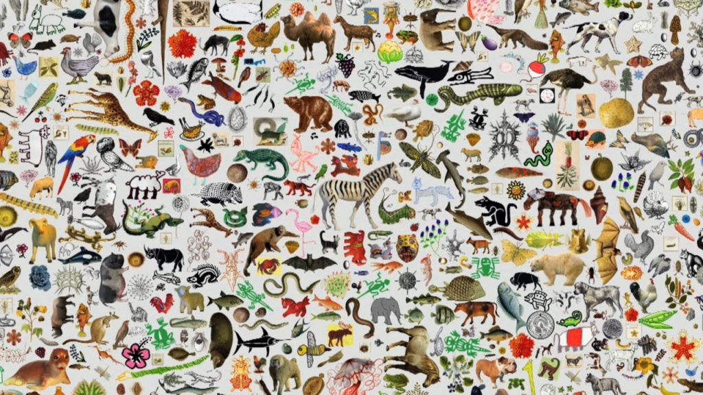 Biodiversité