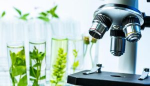 Biologie microscope plantes