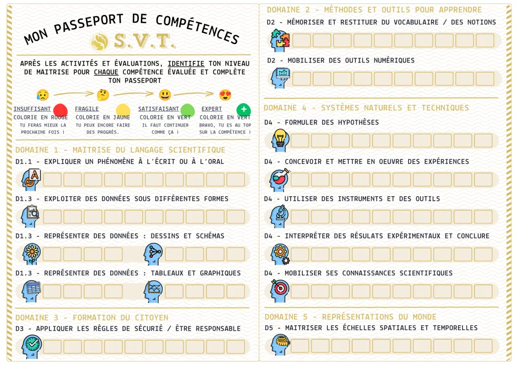 Passeport Compétences Avec Cases